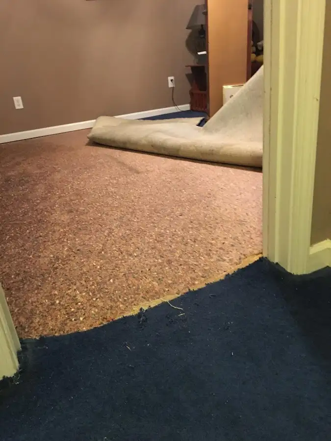 Carpet pad removal revealing water damage during Drying & Dehumidification in Castle Pines