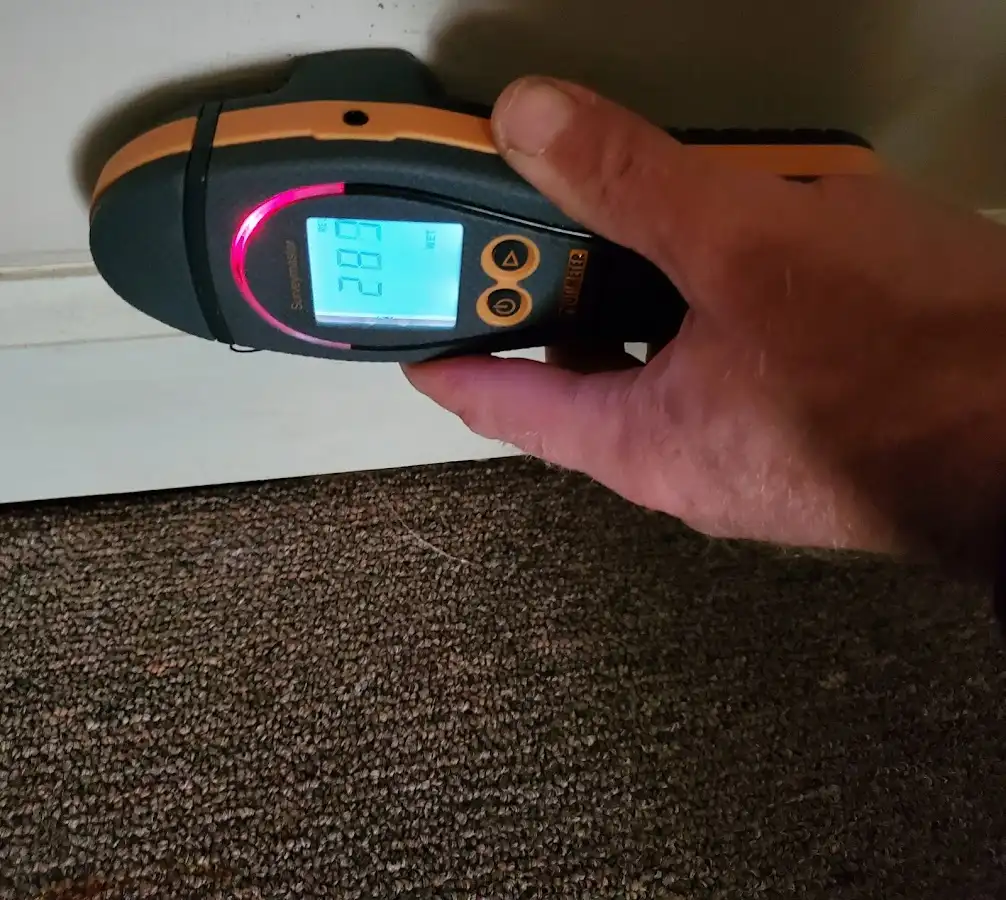 Moisture detection at baseboard during Sewage Cleanup & Sanitation in Castle Pines